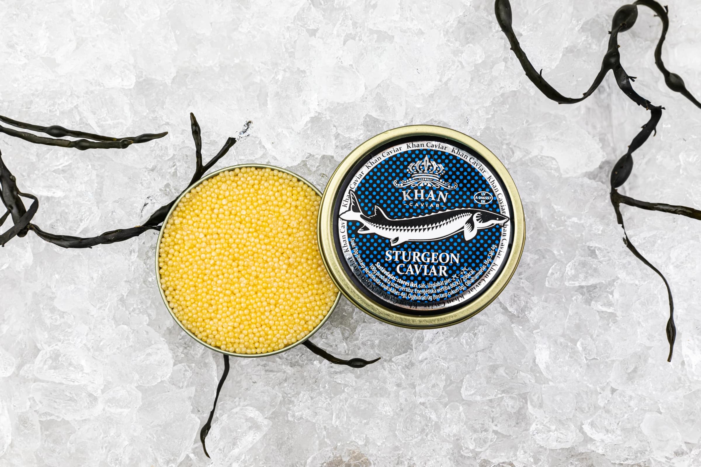 Almas Caviar (Acipenser Ruthenus)