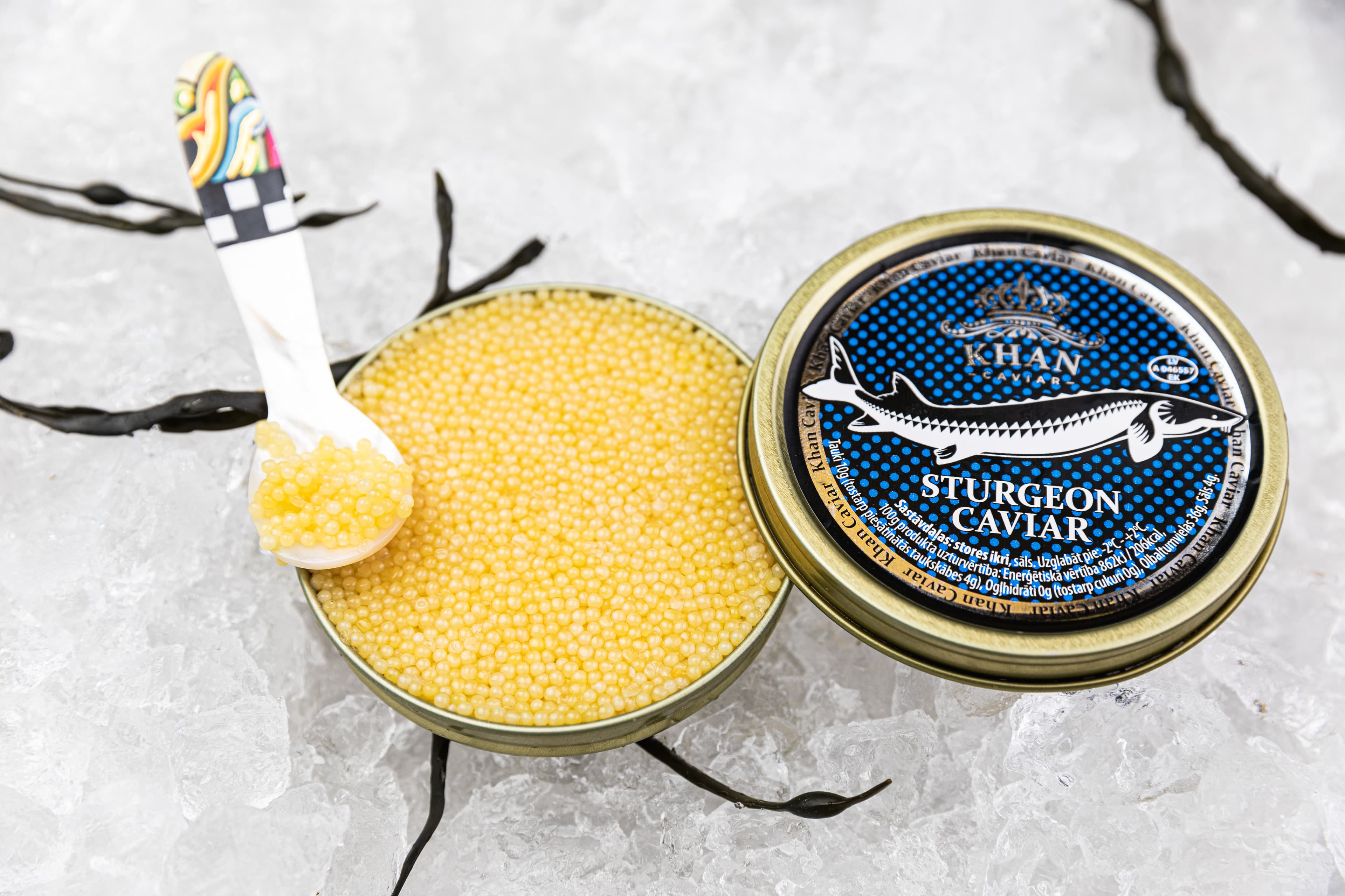 Almas Caviar (Acipenser Ruthenus)