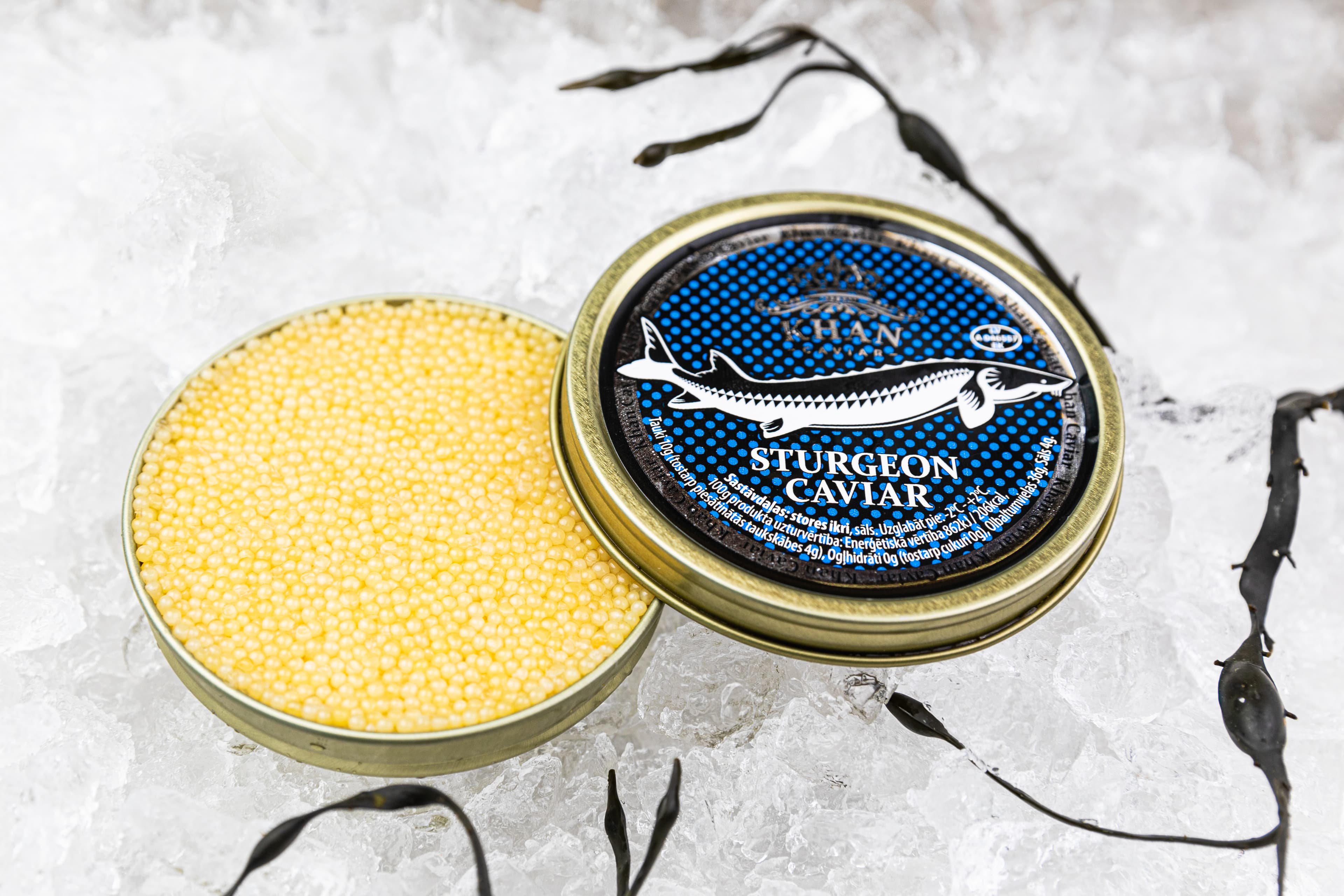 Almas Caviar (Acipenser Ruthenus)