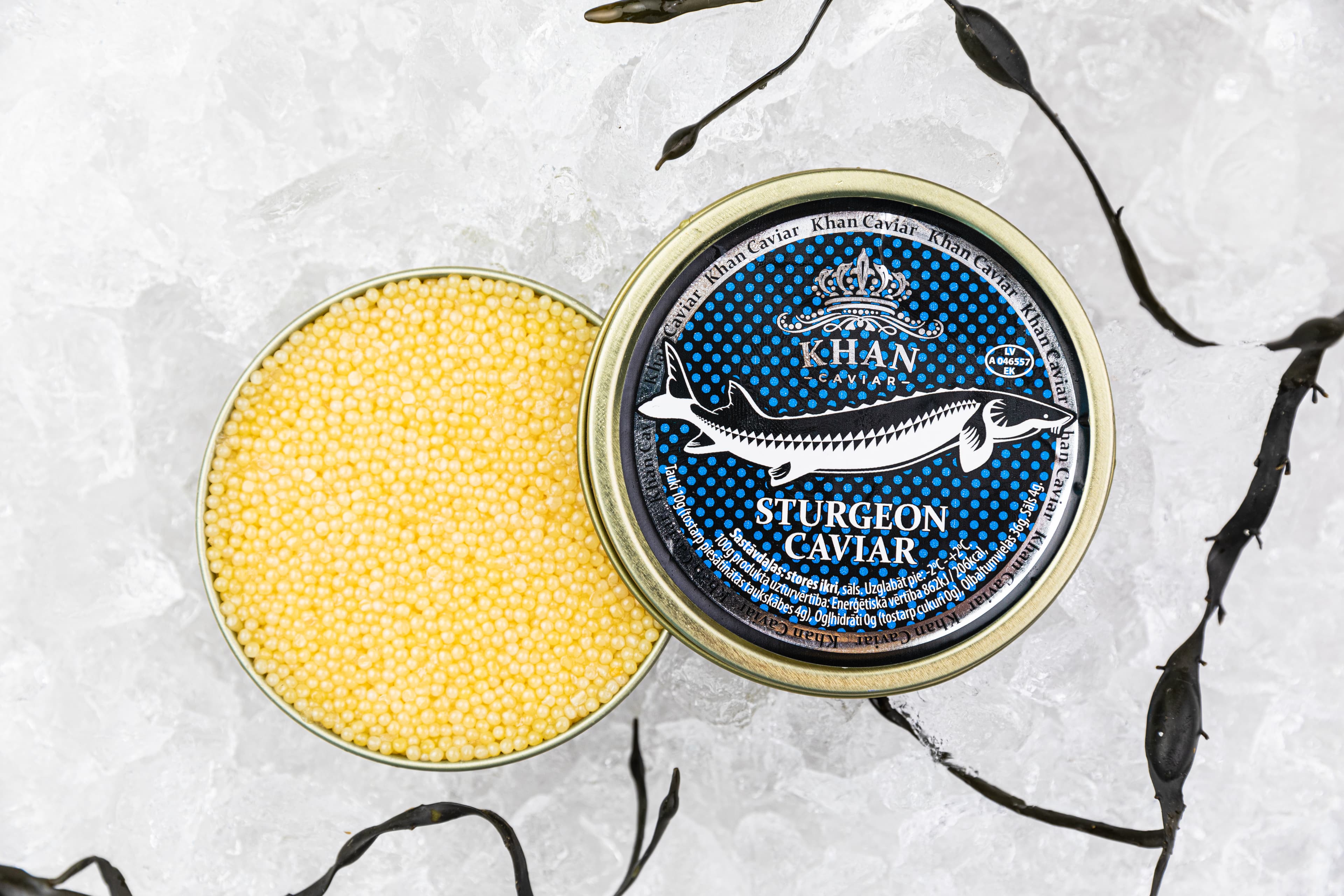 Almas Caviar (Acipenser Ruthenus)