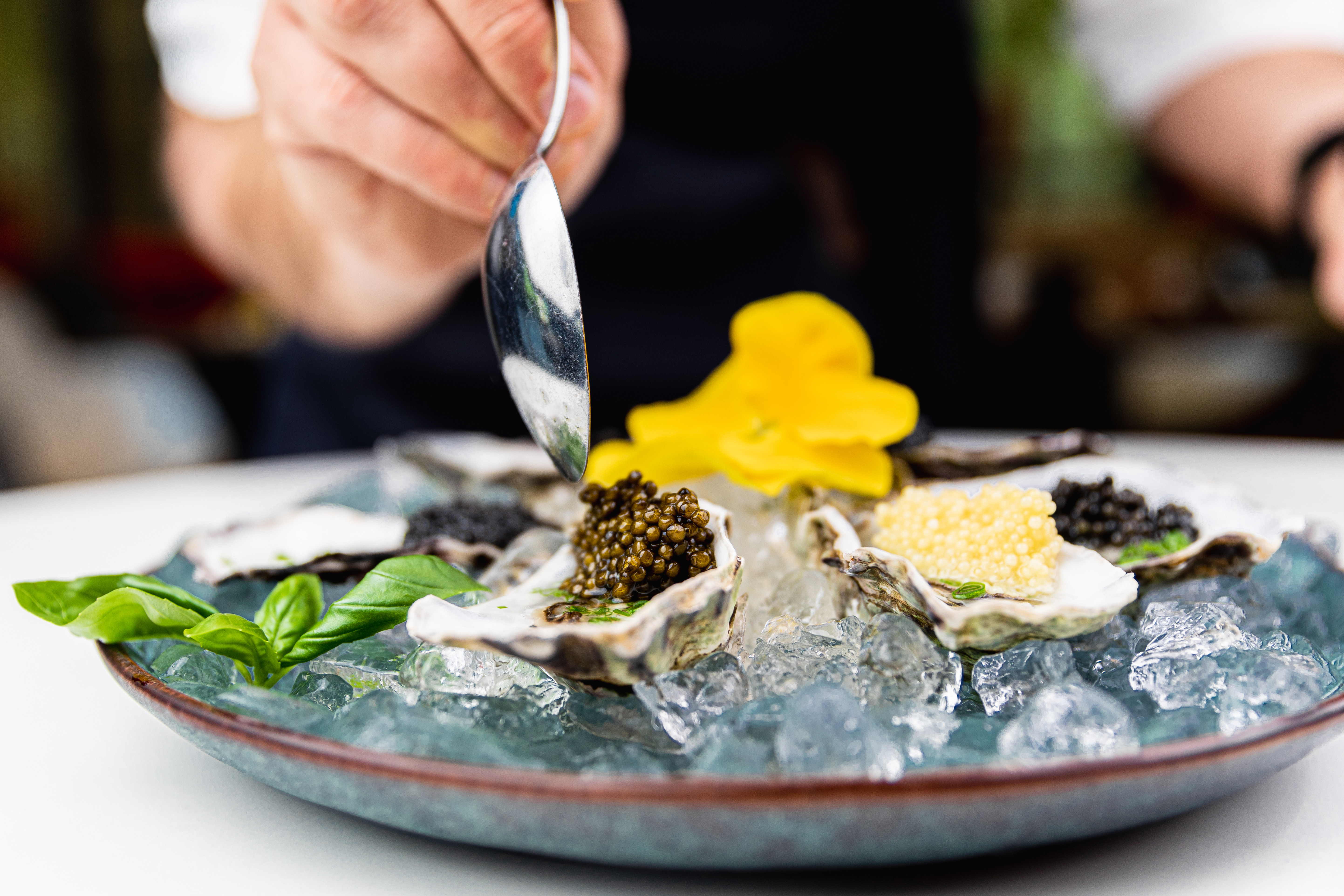 CURATED LUXURY